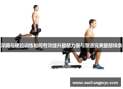 深蹲与硬拉训练如何有效提升腿部力量与塑造完美腿部线条