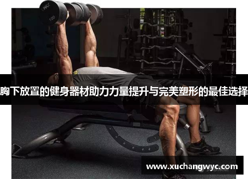 胸下放置的健身器材助力力量提升与完美塑形的最佳选择