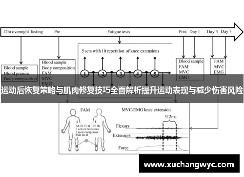 运动后恢复策略与肌肉修复技巧全面解析提升运动表现与减少伤害风险